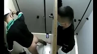 The Gaying 1